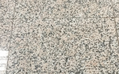 Color Seal: What are the Benefits? and What is the Process?